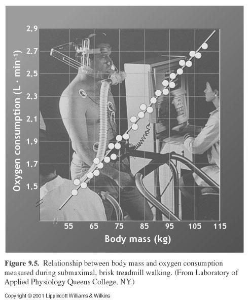 (Caloric Equivalent for the RQ) MR (kcal/min) = 0.25 (l/min) (4.