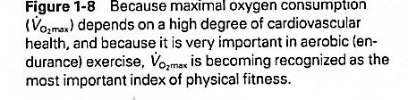 Basics of Exercise Metabolism for Health Care Professionals 서상훈 The Fick Relationship of Oxygen Transport Use VO 2 = Q (a-v)o 2 Q = VO 2 /(a-v)o 2 where: VO 2 is O 2 consumption a is arterial O 2