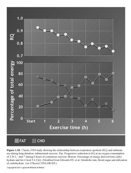 Basics of Exercise Metabolism for Health Care Professionals 서상훈 Metabolic Rate in an Exercising Man MR (kcal/min) = VO 2 (l/min) (Caloric Equivalent for the RQ) MR (kcal/min) = 4.0 (l/min) (5.