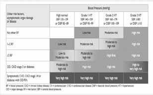 심혈관위험분류 ESH/ESC 213 고혈압약물요법