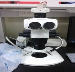 : 독일 실체현미경 조직병리슬라이드의혈구수계산, 소핵계수, 염색체이상,