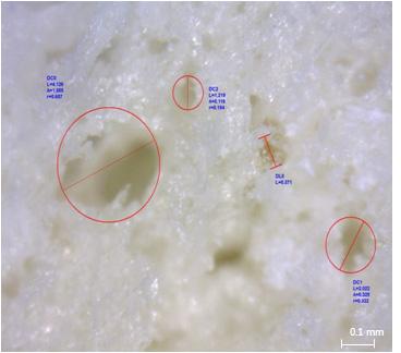 filler의경우 Vermiculite, Perlite의분산은일정하였으나 porosity의크기는균일하지못하였다. Sodium silicate 첨가성형체의경우 filler의미첨가시일정한 porosity를확인되었으나, Filler의첨가후불균 3.