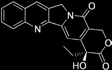 pelletierine 희수나무과 Nyssaceae 희수