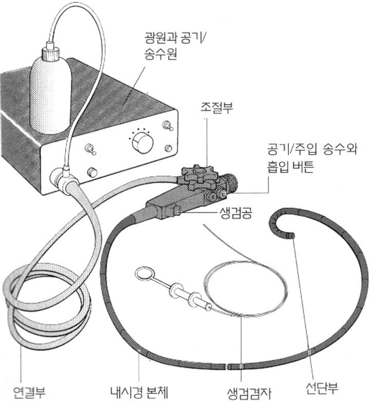 상황이므로모체의저혈압이오면혈류량의감소가일어나게된다. 이러한상황에서태아가사에의한서맥이오고, 모체에투여한 narcotics와 sedative에의해부정맥이올수있다.