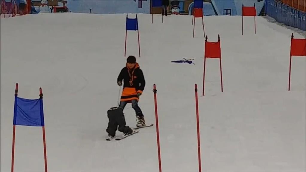 HUMANOID ROBOT (Ski-robot)