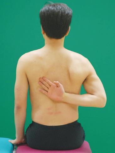 5. 아플레이긁기검사 (Apley s Scratch Test) 동작제한 - 어깨관절모음제한 - 어깨관절안쪽돌림제한 - 어깨뼈모음제한 - 어깨뼈아래회전제한