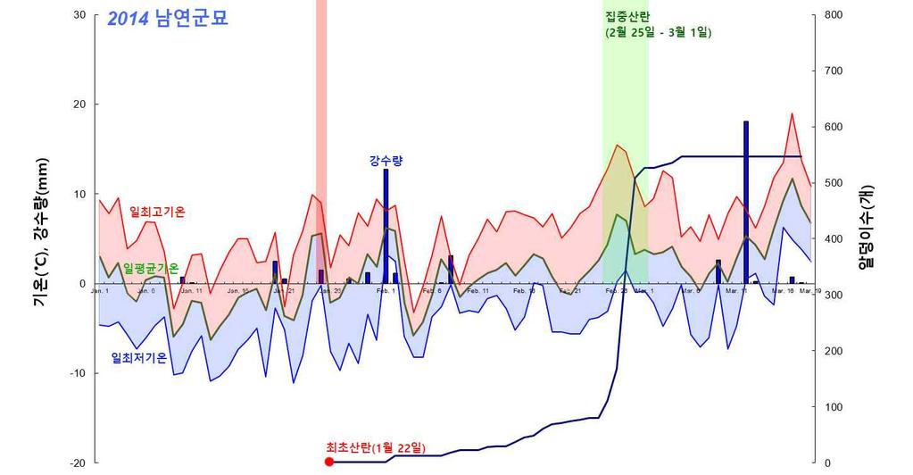 수 있으며, 본격적으로 산란하는 시기는