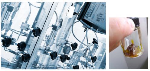 angulate) 등의식물에서효능물질추출 Double Gel Network Liquid