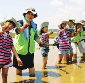 Village in Yeoncheon that The 38th parallel grape Grapes produced in the 38th Parallel Village produced in Yeoncheon.