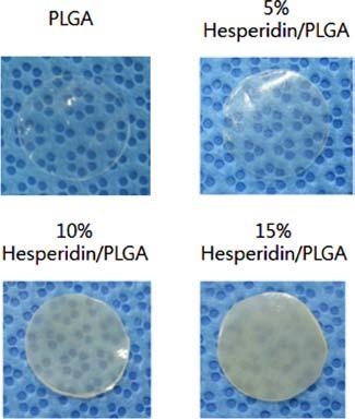 Water contact angle of hesperidin/plga film surfaces: PLGA only, 5, 10 and 15 wt% hesperidin/plga. 육안관찰결과, 함량이증가할수록불투명해지는것을알수있었다 (Figure 3).