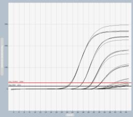 Lane 1~Lane 5 : 10 7 ~10 3 copies/rxn, Black : PC (3D), Red : IPC Fig 14. Result examples using PC FMV-1114-A E : 102% R^2 : 0.9991 1 2 3 4 5 6 Lane 1~Lane 6 : 1ng~10fg, Black : vaccine RNA Fig 15.