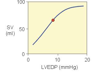 cardiac output) LVEDP=left-ventricle end-diastolic