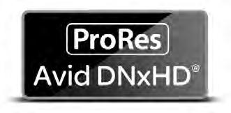 Apple ProRes 및 Avid DNxHD