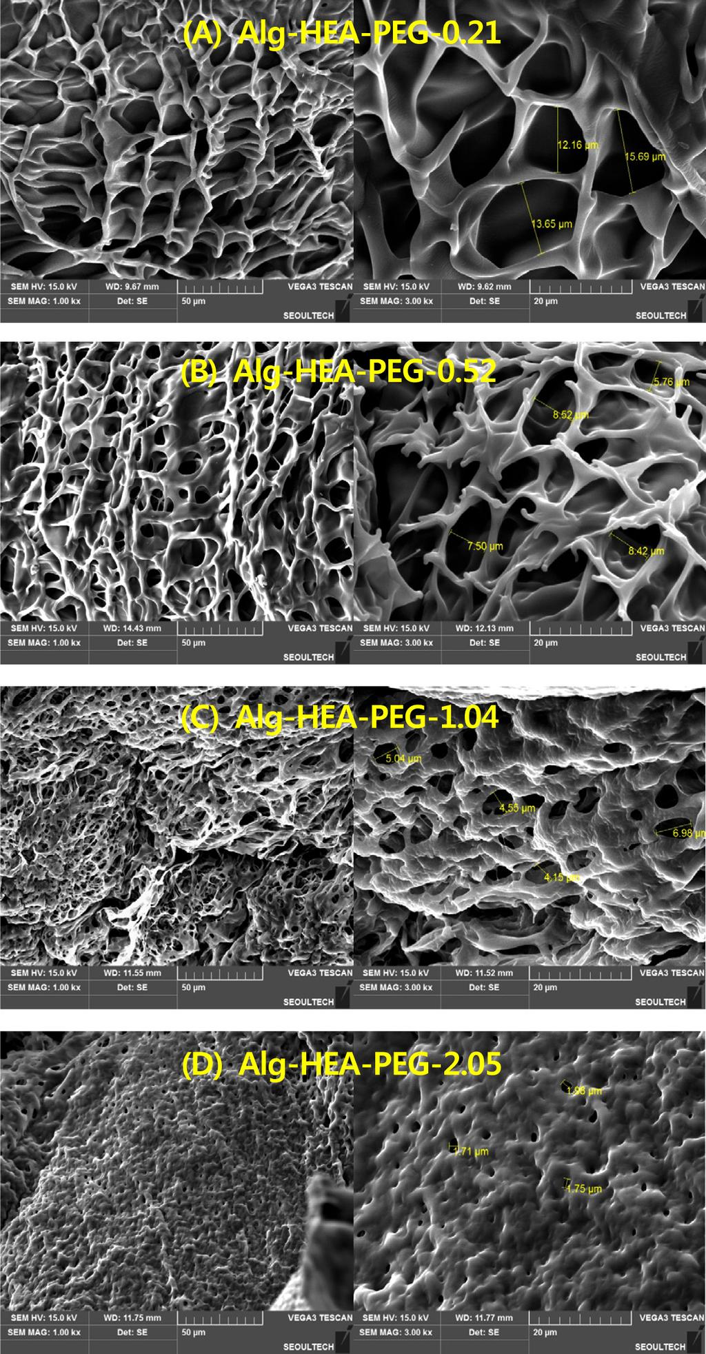 632 이제윤 박소현 Figure 5. SEM images of the cross-sectional morphology of freezedried hydrogels (left is 1000 ; right is 3000 magnification). 결된 3차원 네트워크를 가져 높은 수분흡수능과 점탄성의 특 징을 나타낸다.