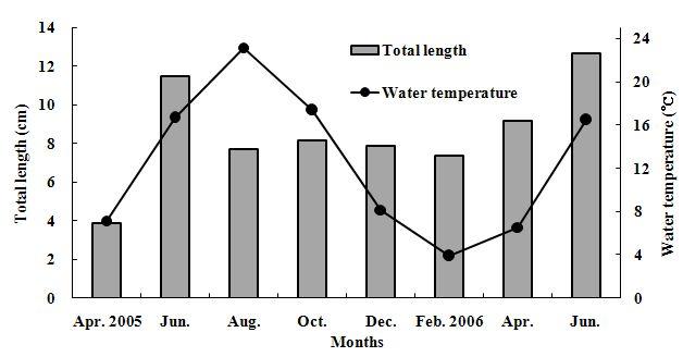 Fig. 14. Relationship between water temperature and total length.