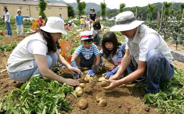 계획 수립, 총괄운영체계 및 지역별 운영체계 구축 등 - 지역별 서울농장의 다양한 운영 콘텐츠