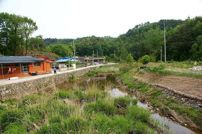 차전국자연환경조사