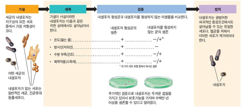 1.5 미생물학의역사 2) 과학적방법의정착 - 객관적으로질문에답을제공하고선입견에휘둘리지않는실험체계의개발이진정한과학적사고의시작이라할수있다.