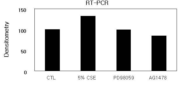 Pretreatment of PD98059 or AG1478 suppressed the Muc5ac expression near to the control levels (CTL: control, 5% CSE: 5% cigar ette smoke extract solution). Figure 7.