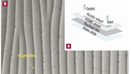 Hierarchical Structures in 1-D Wrinkles Sorting