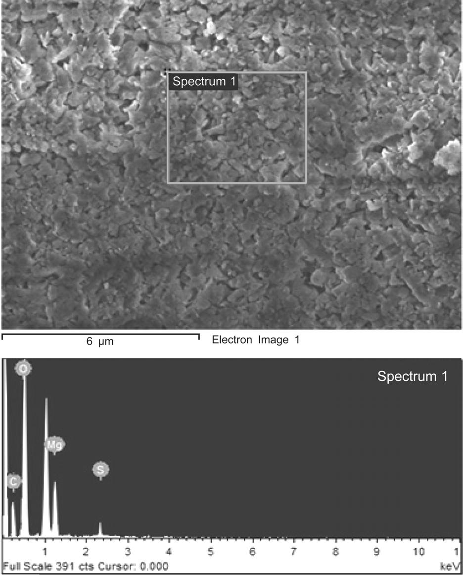 48 청정기술, 제 20 권제 1 호, 2014 년 3 월 Figure 9. The concentration of carbon containing ions in Mg(OH) 2 slurry after CO 2 sequestration. Figure 11.