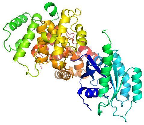 Rab GAP domain of