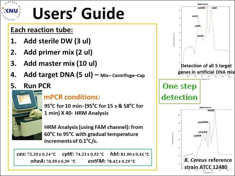 그림 3.22 multiplex real-time PCR detection kit 에대한사용자편의차트식실험법 (User friendly Protocol