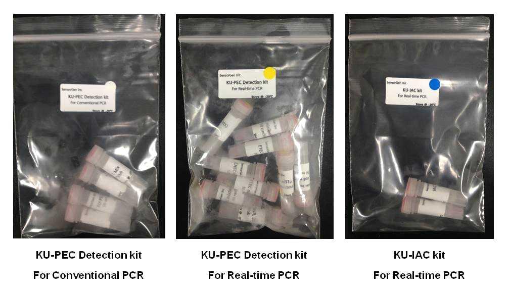 그림 5.3 5 종병원성대장균을동시에검출할수있는 PCR 및 Real-time PCR kit, Real-time