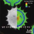 Forster Resonance Energy Transfer (FRET) & PIE-FRET measurements Time-Correlated Single Photon