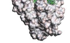 기술(SCPTM) 단백질 결정화 기술 단백질 구조 규명 기술 방사광 가속기 핵자기 공명기 선도물질 발굴