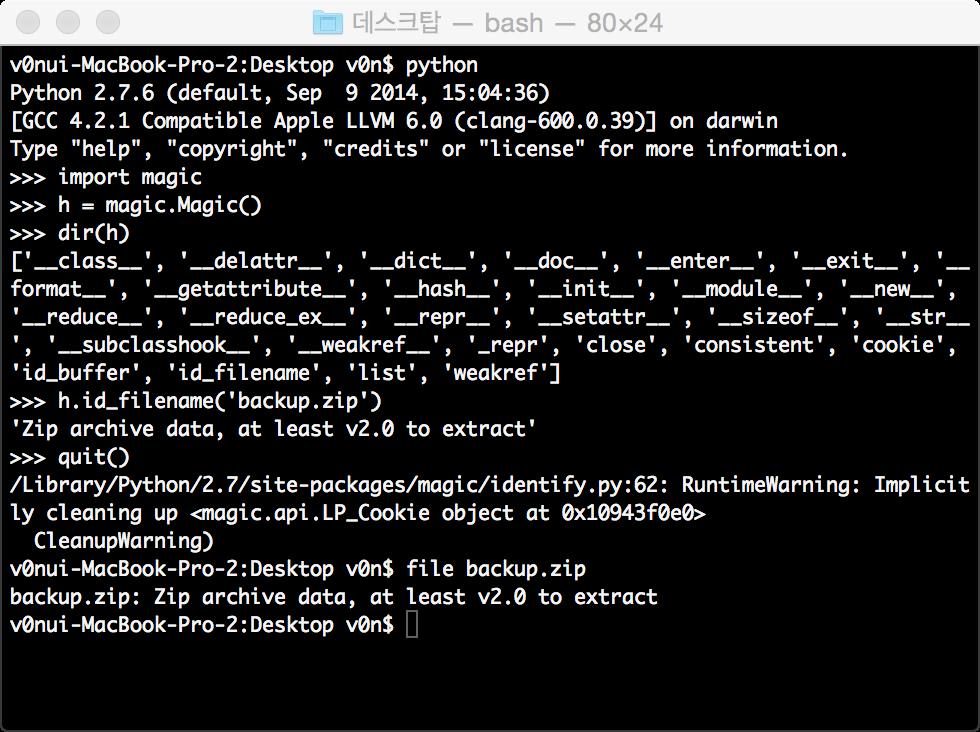 정적분석 : 파일식별 악성으로의심되는파일의형태식별 file command python magic(pip install filemagic)