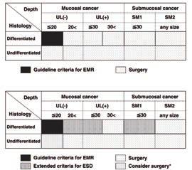 Extended Indication for EMR/ESD According to the American Society of Clinical Oncology Histology Depth Mucosal cancer Submucosal cancer Ulcer(-) Ulcer(+) SM1 SM2 <20mm >20mm <30mm >30mm <30mm Any
