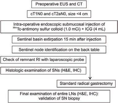 2014 외과전공의연수강좌 (Unit 2) SNNS for EGC Protocol of SNNS Hyung-Ho Kim et al.