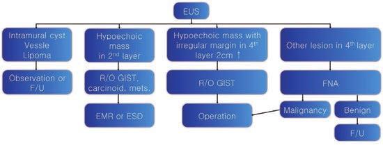 difficulty in specific diagnosis EUS guided core needle biopsy Recently introduced, but needs more study for