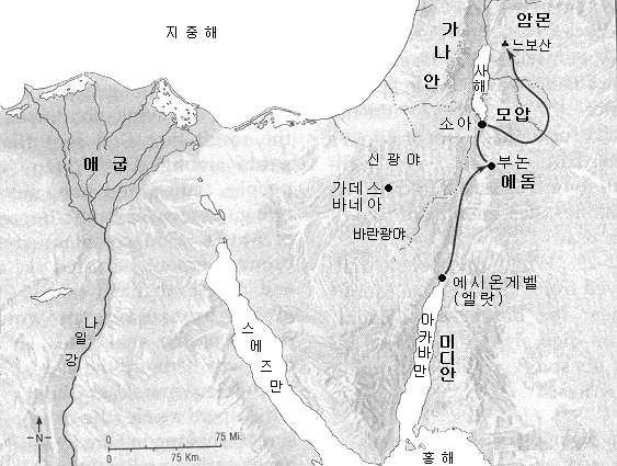 21:21-26 이스라엘이아모리족의땅에이르자아모리인들은통과를허락하지않았다 아모리왕시혼은오히려이스라엘에게전쟁을선포했으나보기좋게지고말았다 이아모리왕은이전의바로처럼여호와에의해마음이강퍅해져그와그의백성들이싸움에서이스라엘에게패배했다 신 아모리인의죄악 창 이관영했으며