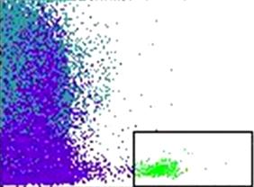 희석된제대혈 10μL를 trypan blue 시약 (0.4%, Gibco, Grand Island, USA) 10μL와혼합후 100개세포를계수하였고푸르게염색된세포를사멸이일어난세포로간주하였다.