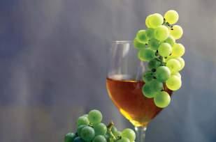 Vines-Natural-Healthy-Food-1680829
