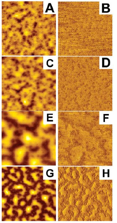 (A) (B) z-piezo AFM cantilever Ag paint contact (C) (D) Active layer ITO coated glass substrate laser illumination x-y sample scanning Microscope objective (E) (F) 그림 5. EFM 을태양전지에응용한장치의도안.