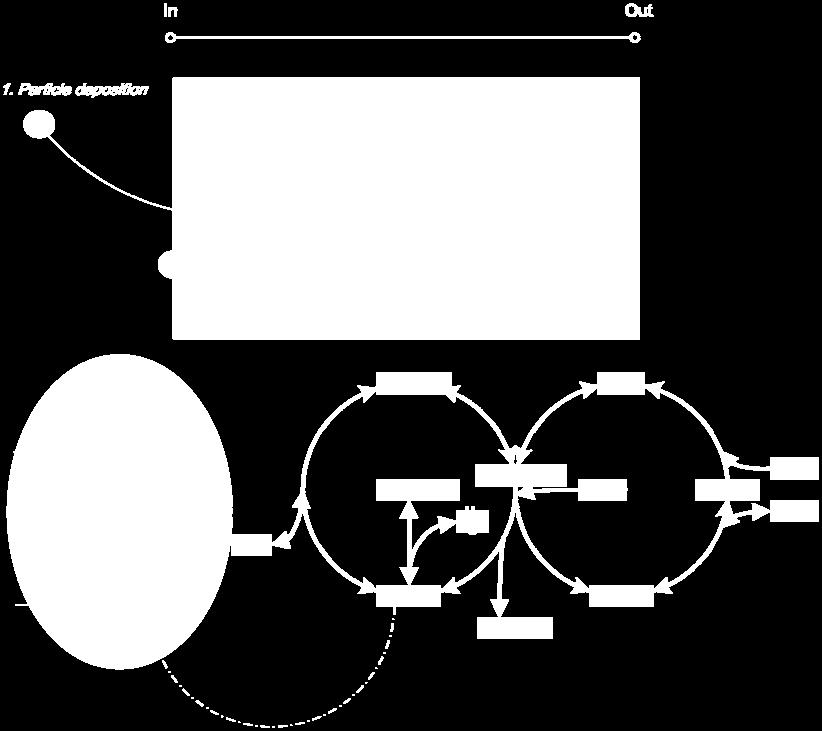 Potassium accumulation in the catalyst wall is supposed to follow a three-step process and the poisoning mechanism occurs via chemical bonding of the alkali metal to the crucial V-OH sites, the