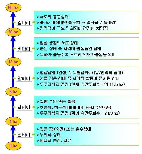 1. 수면의단계와생리현상 K- 복합체