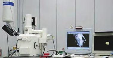 메타볼로믹스분야해양바이오분야 후생유전체바이오마커와비대칭적자기복제현상을이용한성체줄기세포표지및분석기술 3D Cryo-electron tomography를기반으로한연계형현미경법개발 두꺼운시료에대한
