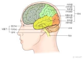 1 document 4. 사례연구양식 성인간호학사례연구보고서작성지침 Ⅰ. 서론 1. 연구목적 뇌는모든척추동물과대부분의무척추동물에있어서신경계의중추가되는기관이다. 이러한중요한장기중하나인뇌는한번손상을입게되면재기능을완벽히할수없고영구적인후유증을남긴다.