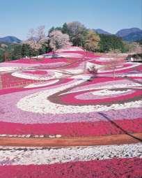 군마현내에서는, 사계절마다아름다움을즐길수있는다양한장소가있습니다.
