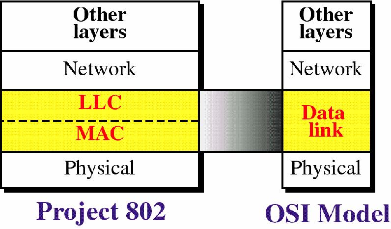 LAN 프로토콜구조 MAC : 매체의전송권을제어 LLC : 연결관리절차, ACK, NAC,