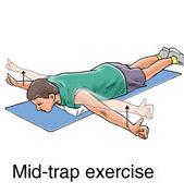 6 5Mid-trap exercise( 중승모근운동 : 가슴에베게나수건을놓고엎드린자세를취합니다. 팔 을옆으로쭉펴고, 그림처럼주먹을쥡니다.