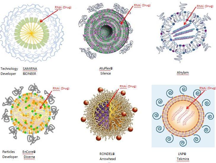 RNAi