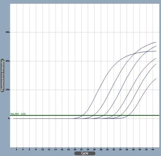 바이오니아 Platform 분자진단기술 RNA 검사에서최고민감도 (>6 log)