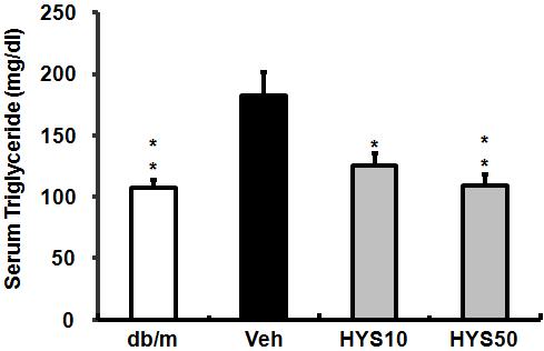 (B) Fig. 2. Effects of HYS on serum triglyceride level in db/db mice. HYS50 : HYS 50 mg/kg treated db/db mice. Bars represent means±sd.