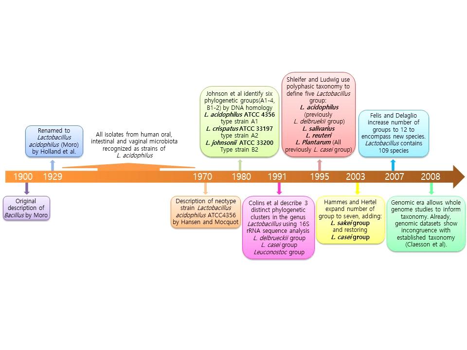 주는후에 L. acidophilus Holland strain 으로알려져있다가 L. acidophilus ATCC4356 으로 L. acidophilus 의표준 strain 으로자리잡게되었다. Moro 가분리했던균주가 L. acidophilus 로자리잡기까지여러우여곡절이있었는데, 당시미생물학의기술로 L. casei 와구분이어려워 1947년 L.