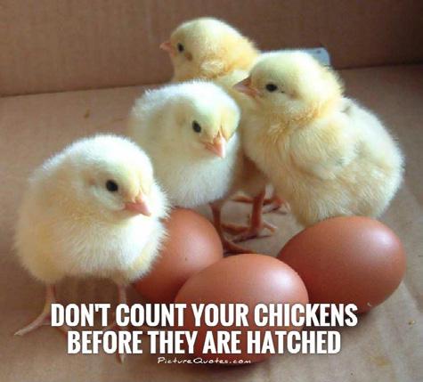 19-03. Don't Count Your Chickens Before They Hatch 01.